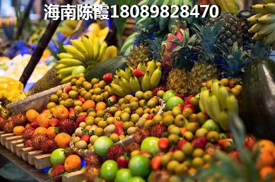 海南外滩名著入住率怎么样？