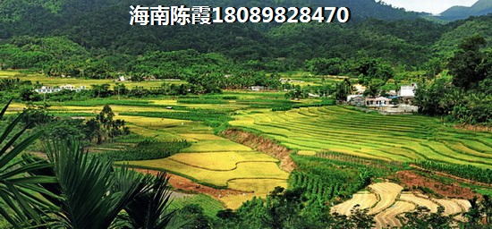 大理山海云著 建筑规划 