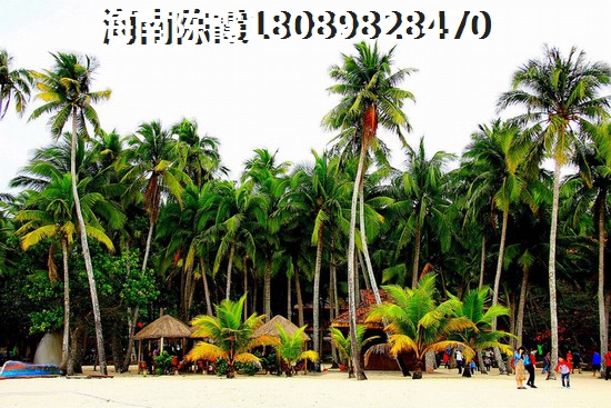 梦云南 海东方